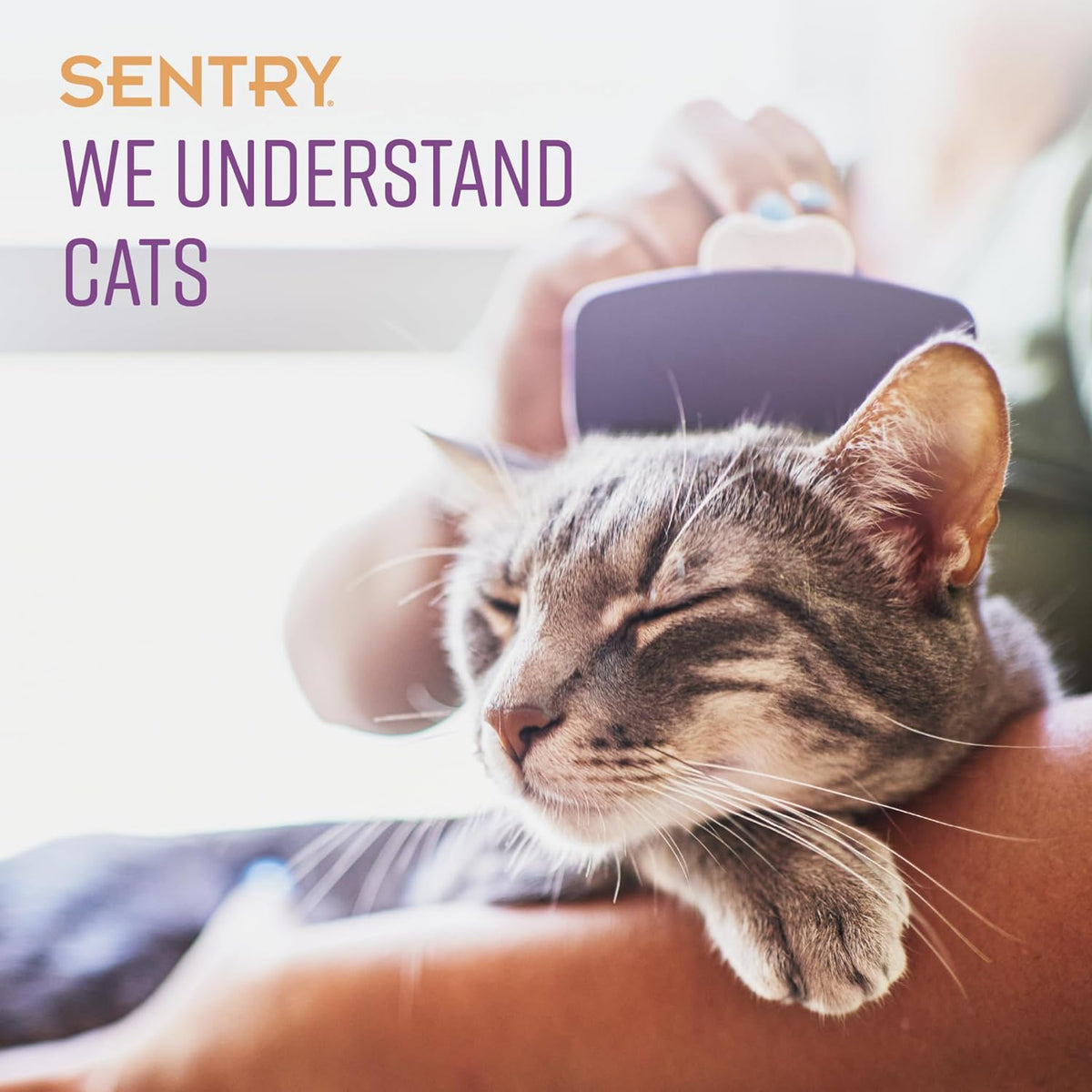 Sentry Calming Collar for Cats, Long-Lasting Pheromone Collar Helps Calm Cats for 30 Days, Reduces Stress, Anxiety, Loud Noises and Separation, 1 Count