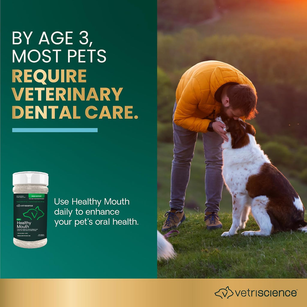 VetriScience Dental Care Powder for Dogs and Cats, 4.2 oz | Helps Reduce Plaque & Tartar Buildup, Clean Teeth & Fresher Breath, Clinically Tested, Vet-Formulated Oral Supplement