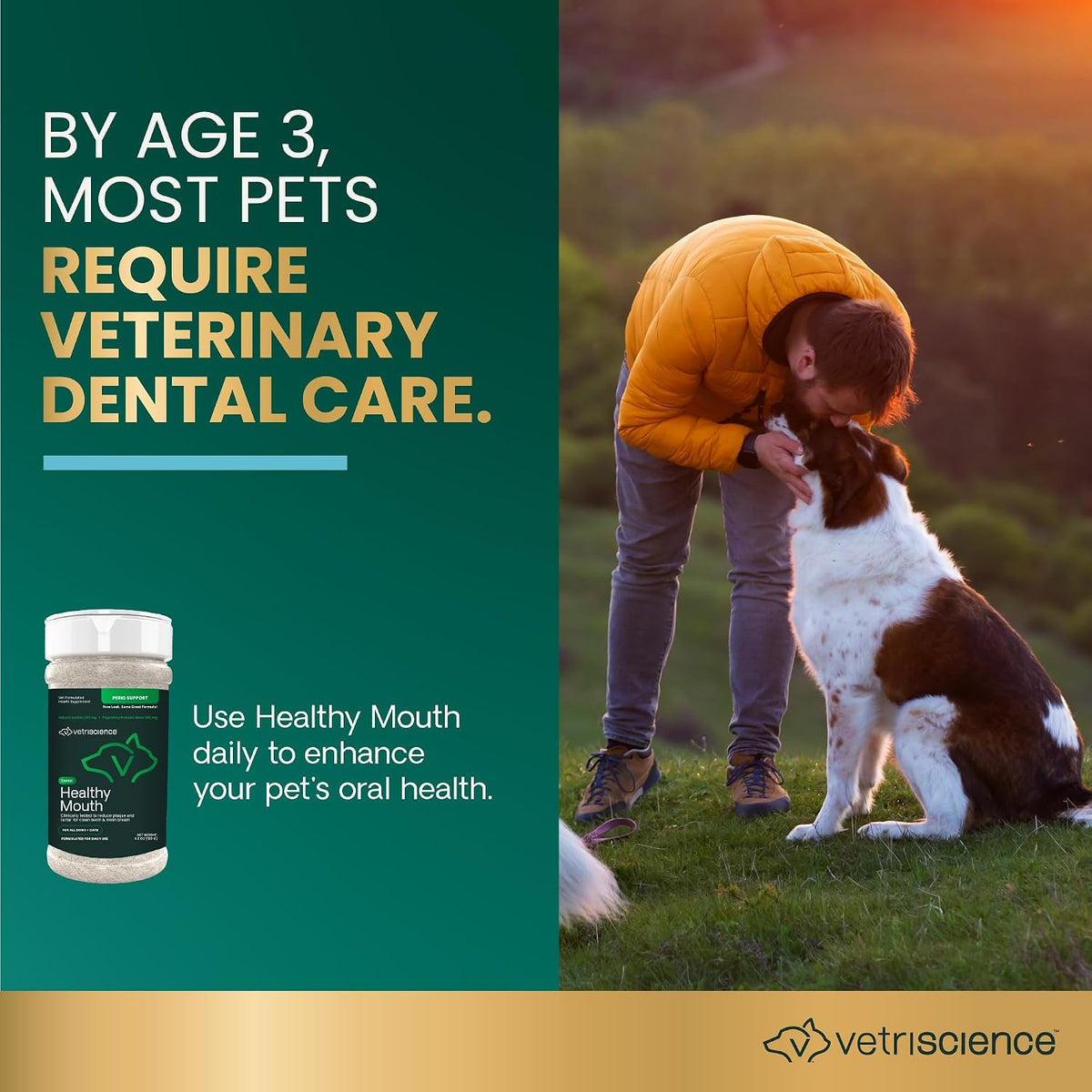 VetriScience Dental Care Powder for Dogs and Cats, 4.2 oz | Helps Reduce Plaque & Tartar Buildup, Clean Teeth & Fresher Breath, Clinically Tested, Vet-Formulated Oral Supplement