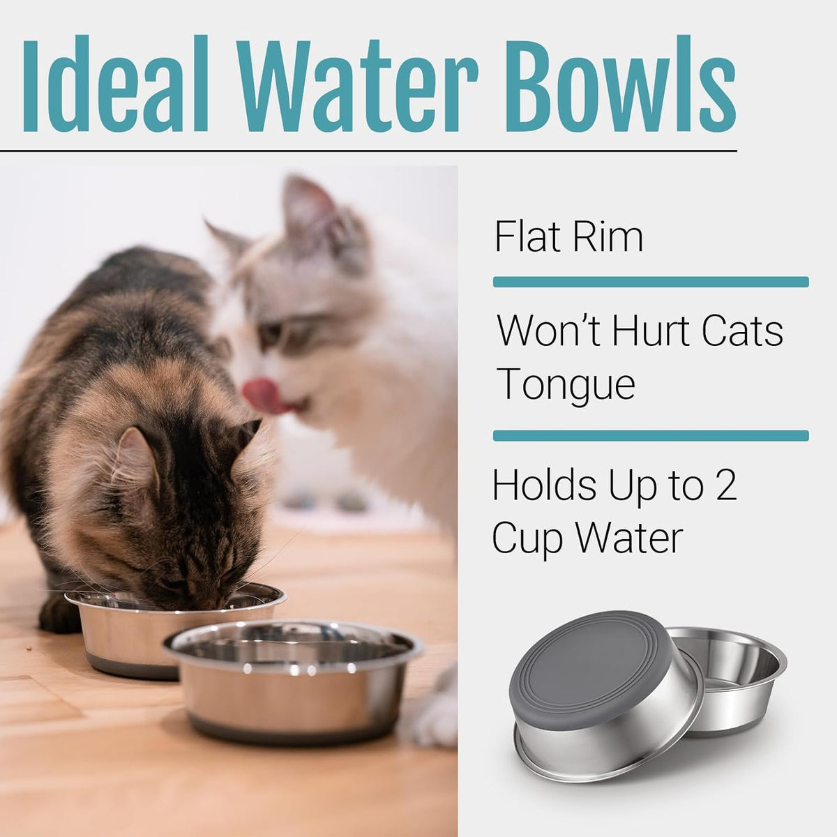 PEGGY11 Nonslip Stainless Steel Dog Cat Bowls, 2 US Cup Each, 2 Pack