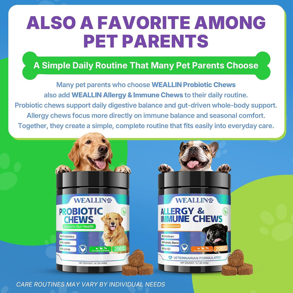 Probiotics for Dogs, Dog Probiotics for Yeast, Itchy Skin and Itchy Ears | WEALLIN Dog Probiotic Chews for Gut & Digestive Support, Diarrhea & Gas Treatment with Digestive Enzyme, Prebiotics & Pumpkin