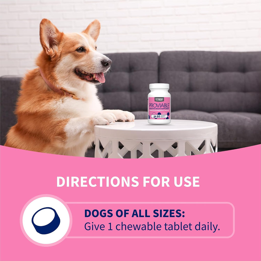 Nutramax Proviable Probiotics + Prebiotics for Dogs, Chewable Tablets, 60ct | Multi-Strain Probiotic Supplement for Dogs, Daily Support for Digestive & Gut Health, Contains Prebiotics, Chewable Tablets
