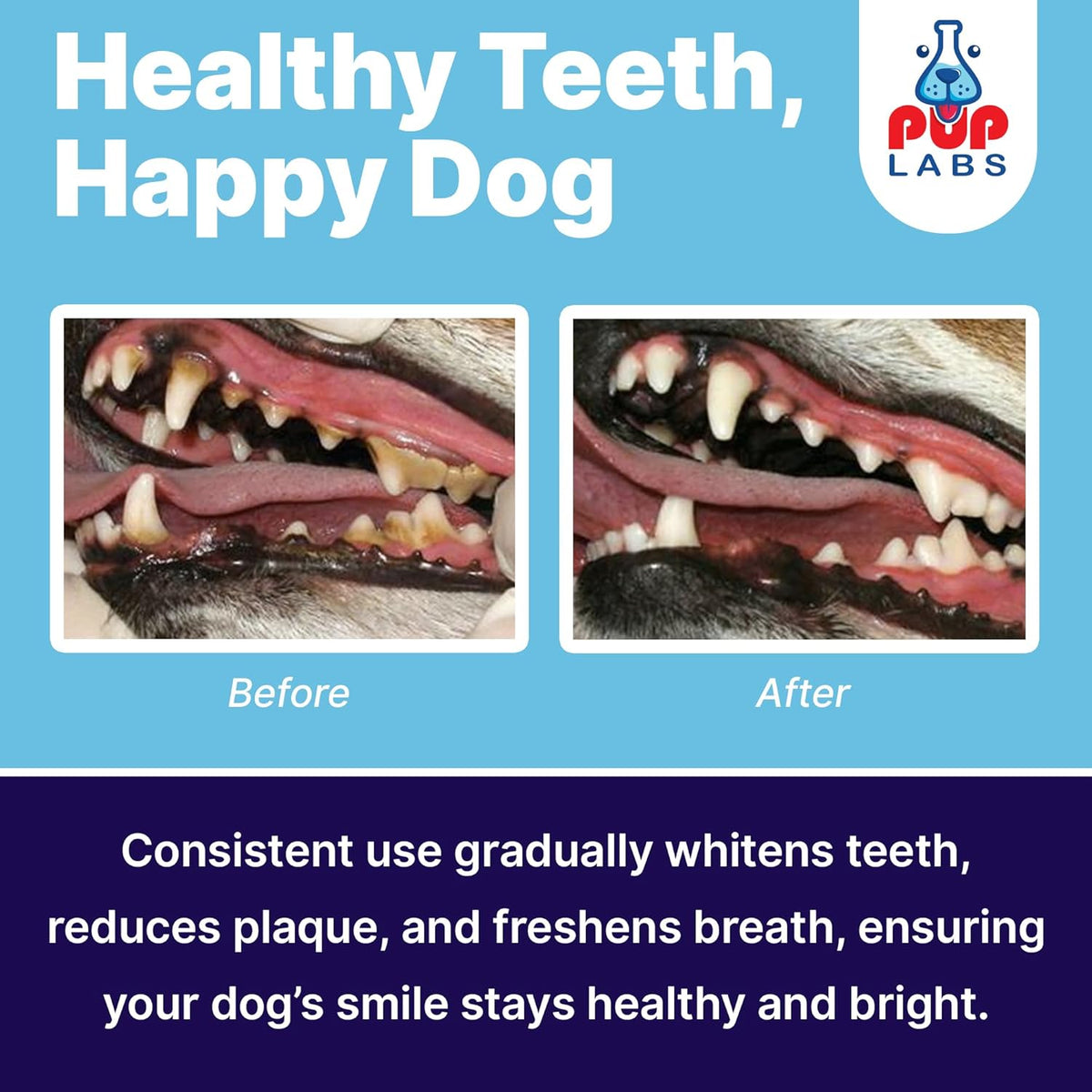 Pup Labs ProDenta, All-Natural Dog Dental Powder for Teeth Cleaning, Dental Powder for Dogs Teeth with Breath Freshener. Easy to use for Tartar Removal and Leaky Gums. Made in USA, 30 Servings