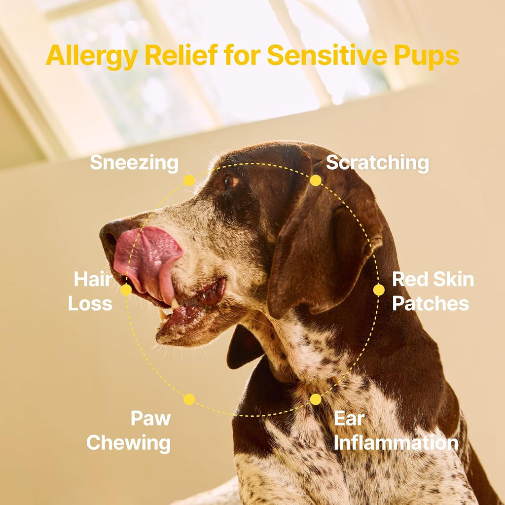 PENPEN Dog Allergy Chews - Anti-Itch & Itchy Skin Support for Dogs, Probiotics & Omega 3 (Fish Oil) for Immune & Gut Health - Peanut Butter Flavor - 180 Soft Chews