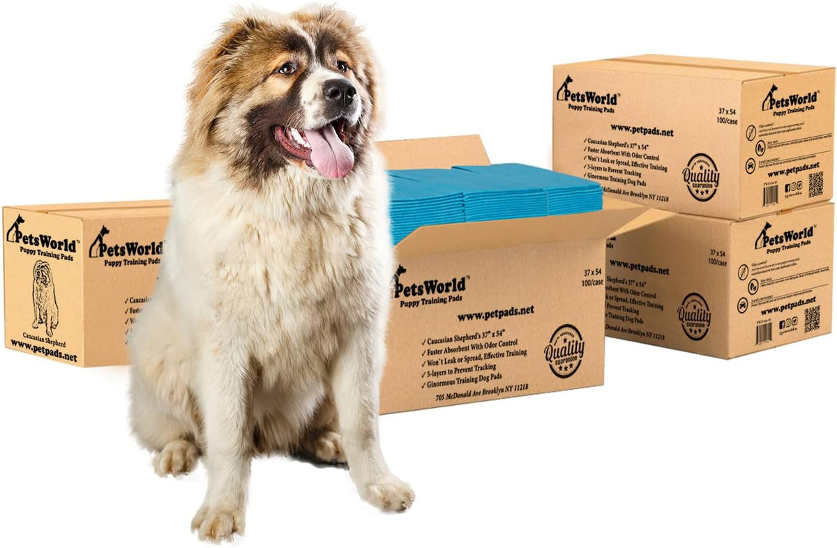 PetsWorld Enormous Dog Pee Pads 37"x54" 50 Count – XXXL Pet Pee Pads for Giant Dogs & Pets, Heavy Duty Leak-Proof Dog Training Pads, Super Absorbent Quick-Dry Potty Pads with Adhesive Tabs