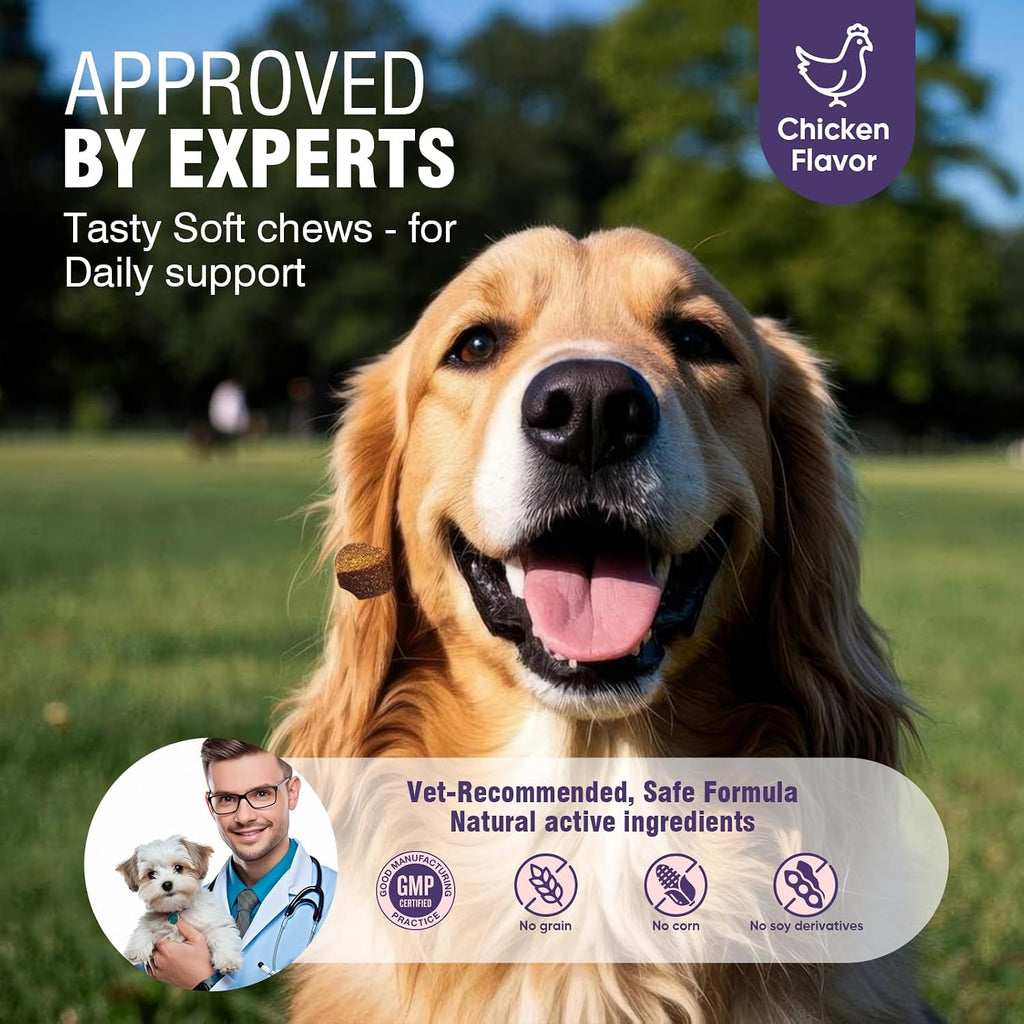 Dog Allergy Chews 200ct - Aller Immune Relief for Itchy Skin,Chicken Flavor