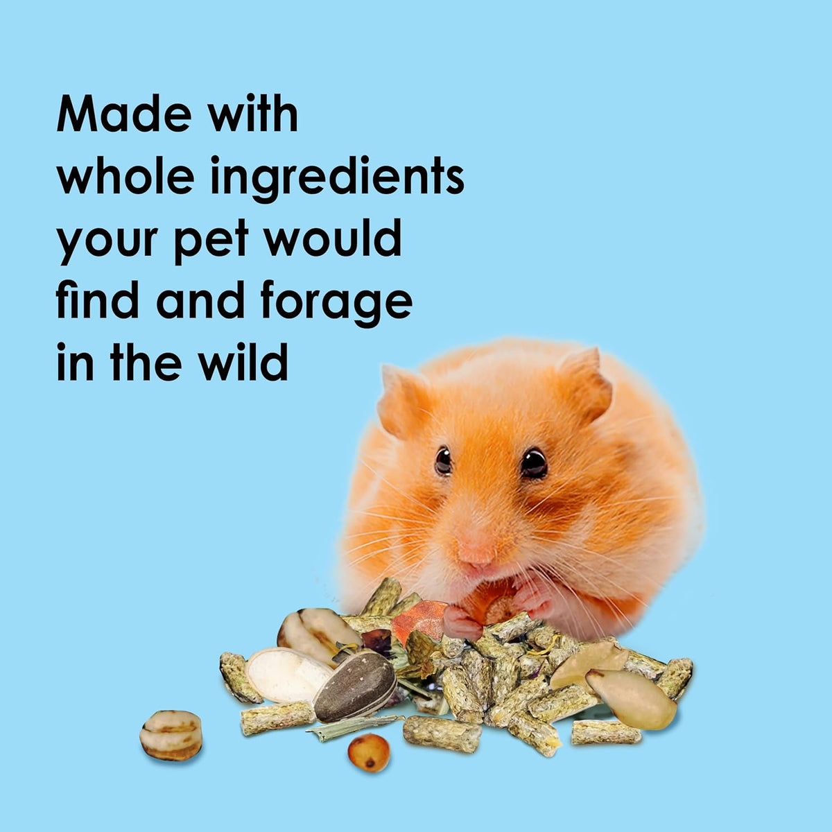 Kaytee Food from the Wild, Pet Hamster Food, 2 Pounds