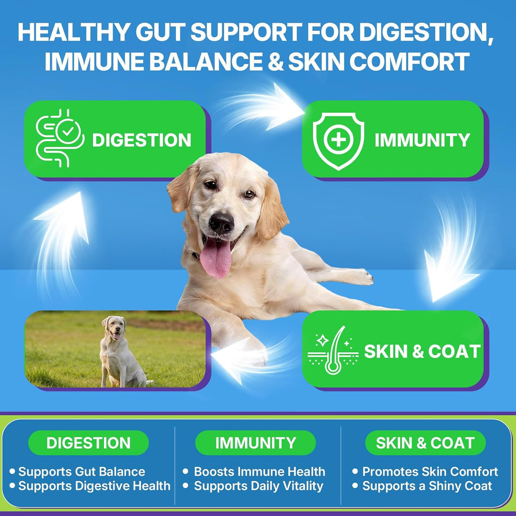 Probiotics for Dogs, Dog Probiotics for Yeast, Itchy Skin and Itchy Ears | WEALLIN Dog Probiotic Chews for Gut & Digestive Support, Diarrhea & Gas Treatment with Digestive Enzyme, Prebiotics & Pumpkin