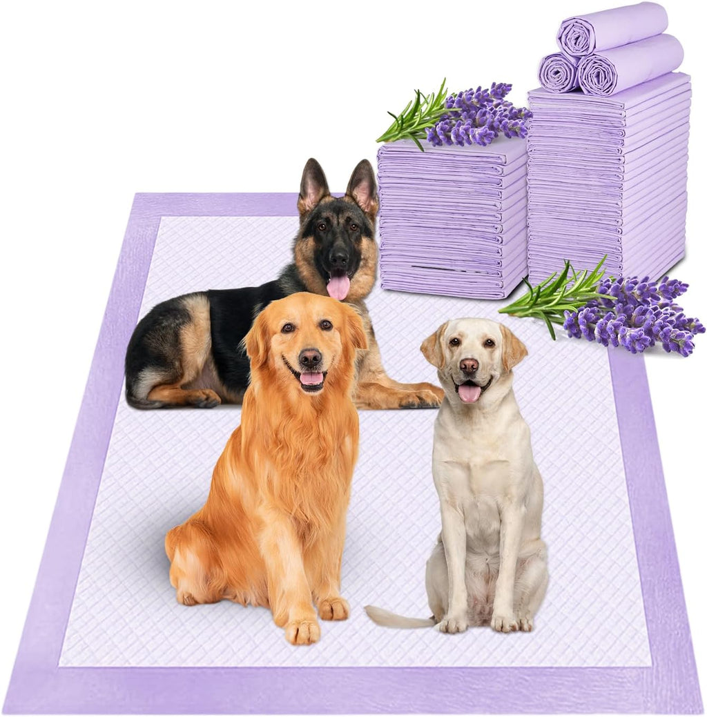 Boscute XXL Thicken 6 Layers Heavy Absorbent 30"x36" Pet Training Dog Pee Pads, Extra Large Polymer Leak-Proof Quick Dry Puppy Pee Pads, Disposable Pee Pads for Dogs Cats Rabbit | Heavy Absorbent up to 7 Cups, Quick Dry, for Dogs Cats Rabbit Potty Trainin
