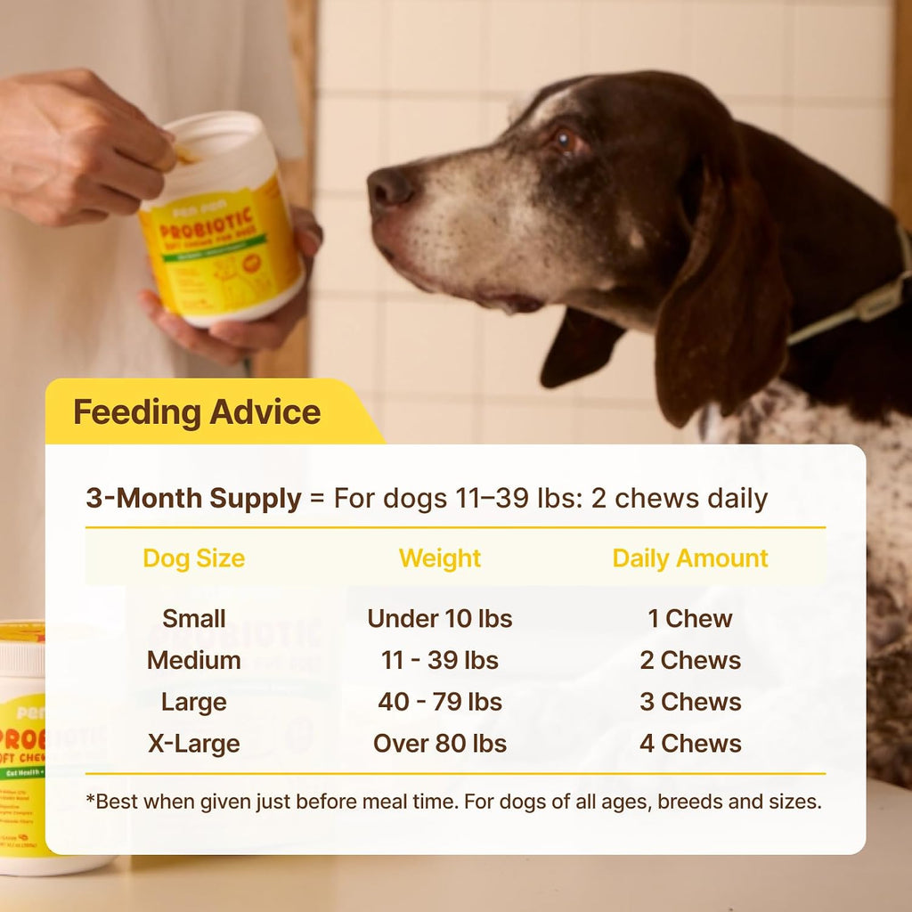 PENPEN Probiotics for Dogs, Dogs Probiotics for Digestive Health, Multi-Probiotic and Enzyme Blend Promote Gut Health & Immune Support, Eases Sensitive Stomachs (Beef Chews, 50ct)