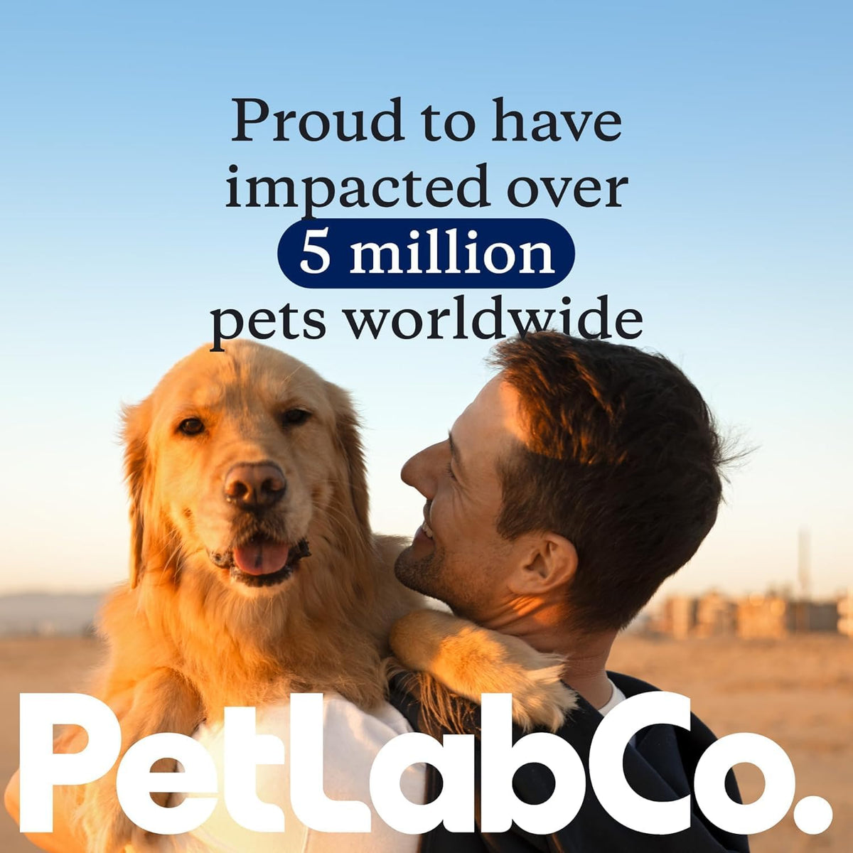 PetLab Co. Dental Sticks – Dog Dental Chews -Target Plaque & Tartar Build-Up at The Source - Designed to Maintain Your Dog’s Oral Health, Keep Breath Fresh and Provide Digestive Help (24 Sticks)