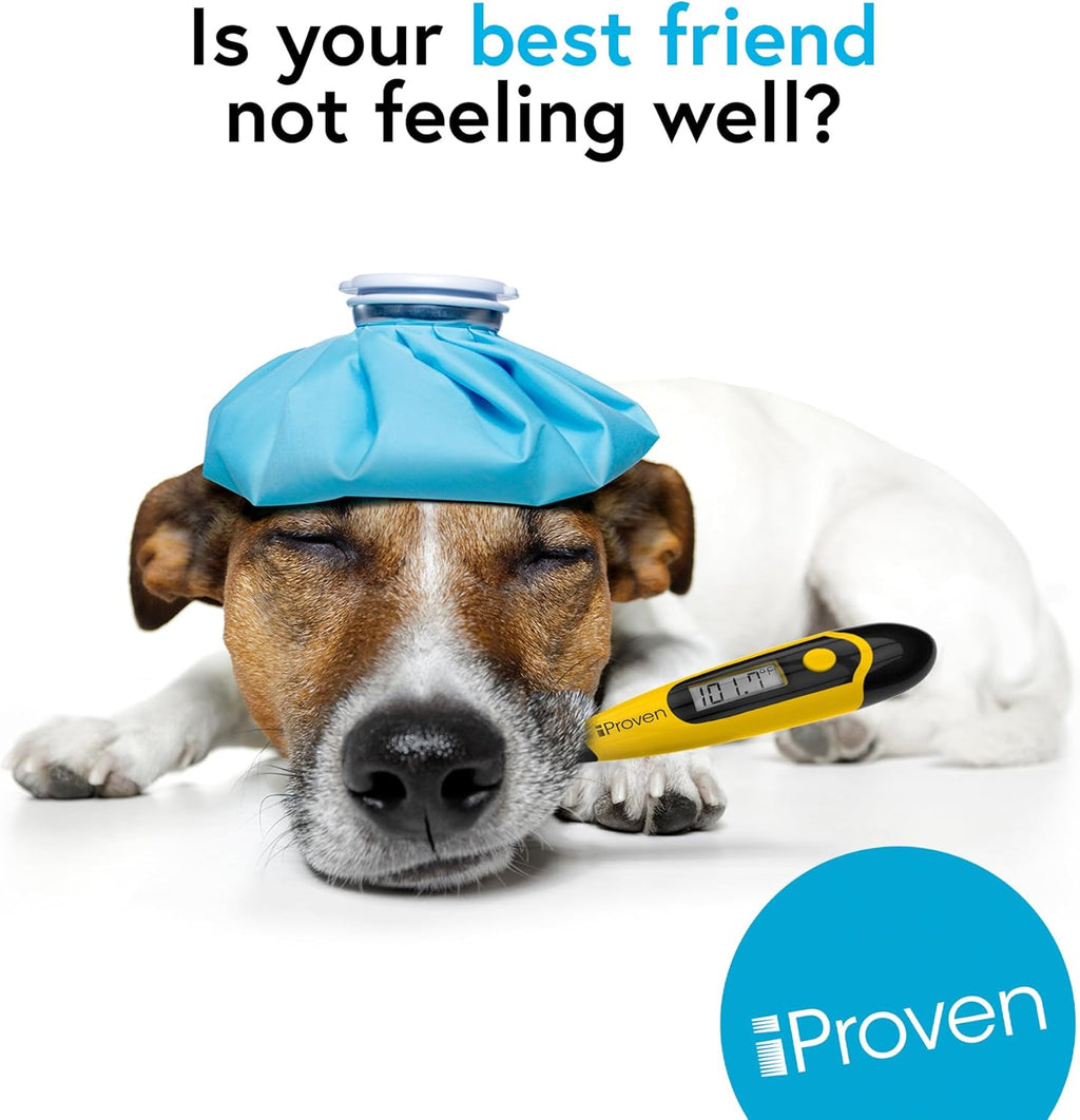 iProven Dog & Cat Thermometer for Fast and Accurate Fever Detection | Comfortable Flexible Tip, Waterproof Pet Thermometer, Quick Readings in 20 sec, Whelping and veterinary supply, DTK-117Y