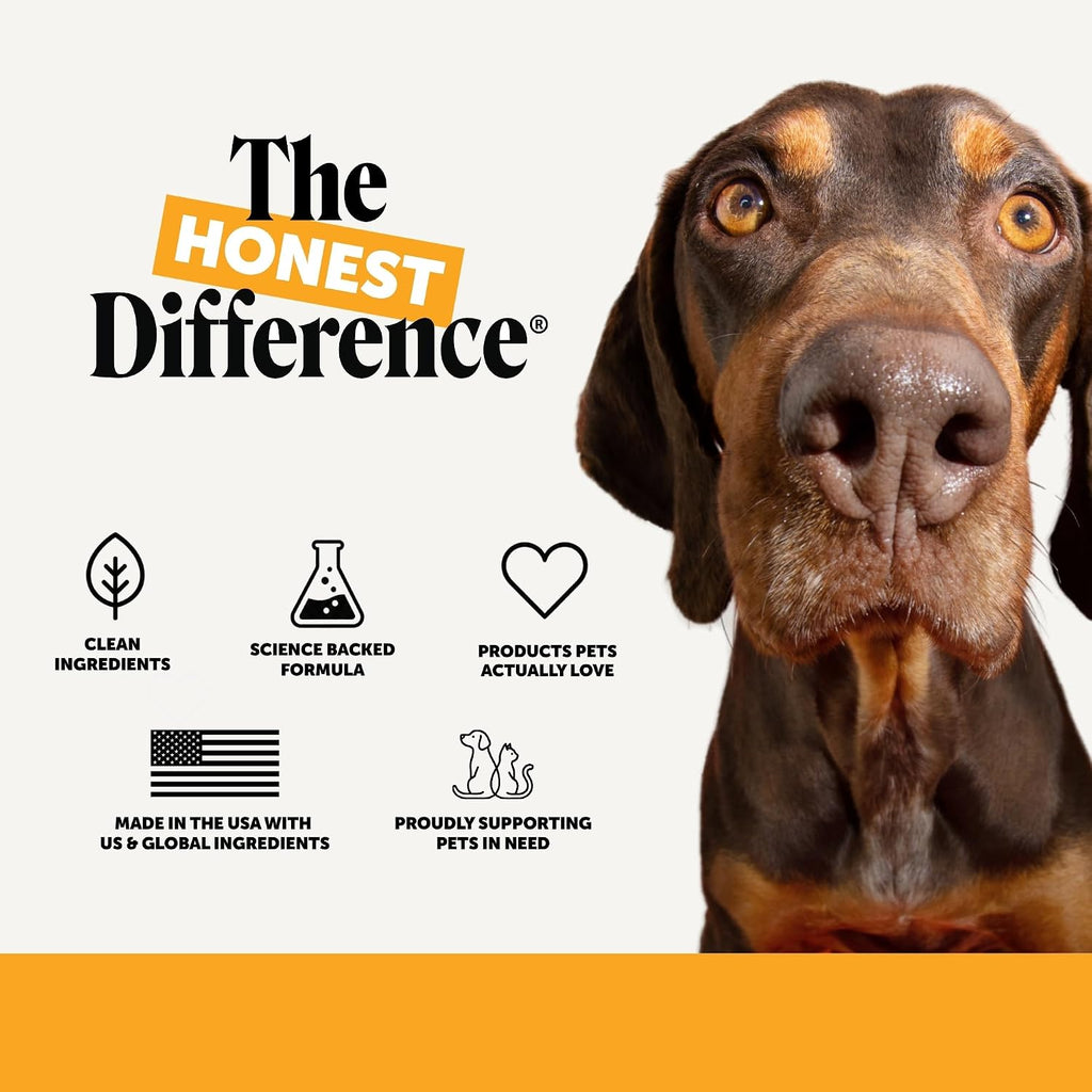 Pet Honesty Dog Allergy Chews - for Paw Licking, Itching & Seasonal Allergies - with Colostrum, Probiotics & Salmon Oil - Vet Recommended Itch Relief Supplement for Dogs (Peanut Butter, 90 Ct)