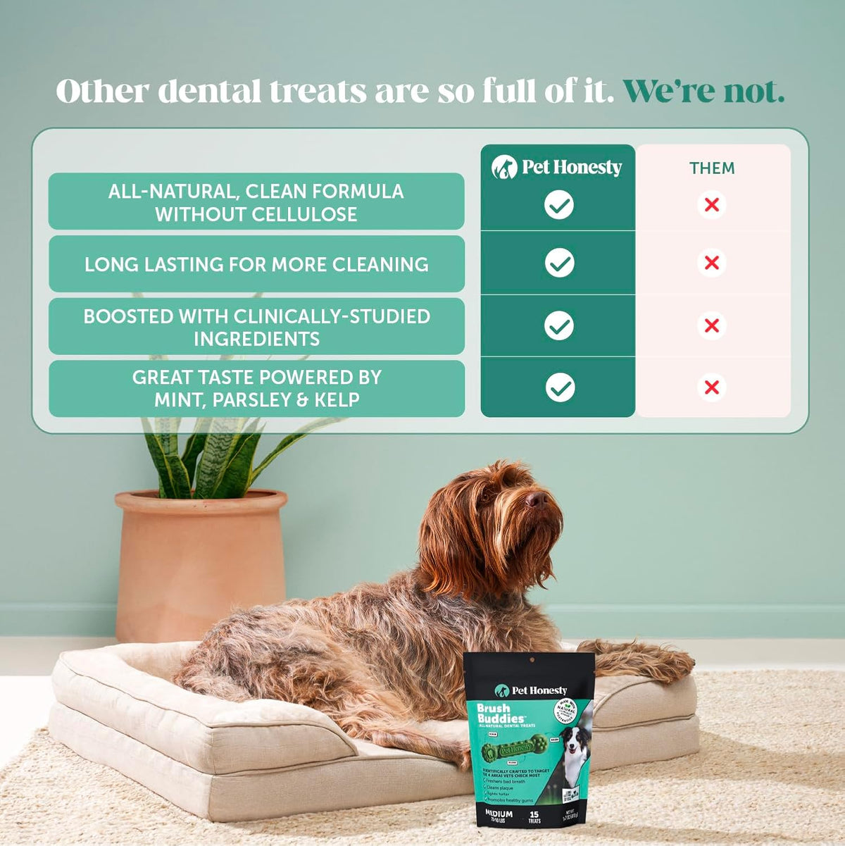 Pet Honesty Brush Buddies Vet Backed Dog Dental Chews, 15 Count | Award winning dog teeth cleaning chews for dogs 25-50 lbs, last 2x longer, no cellulose fillers, reduce plaque & tartar