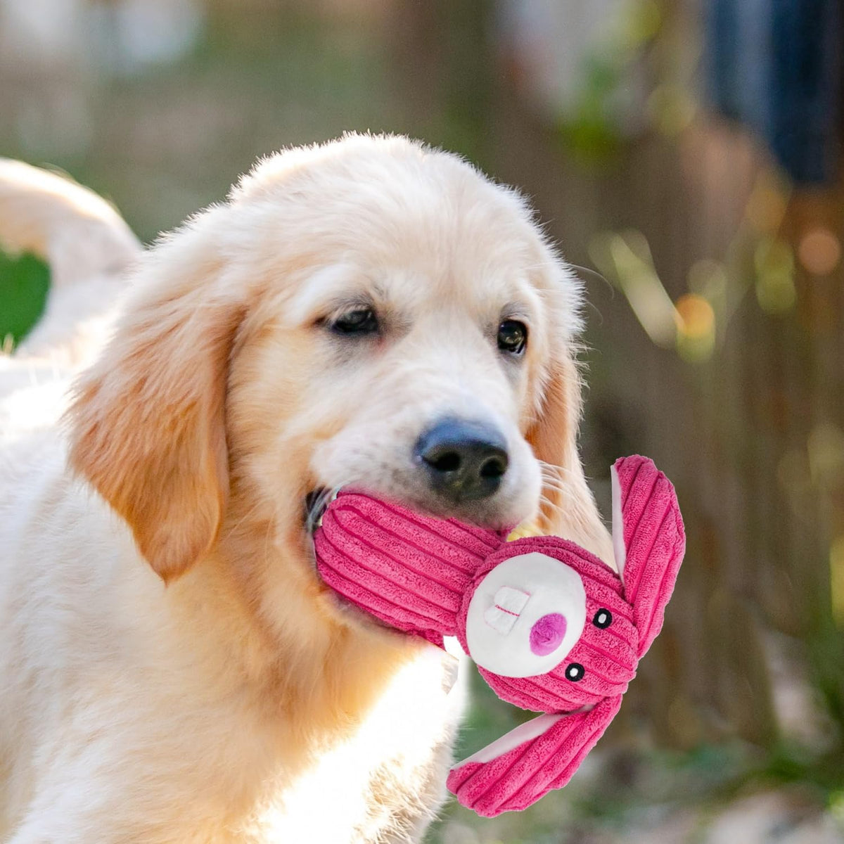 MRSOHRET Dog Toys Squeak, Tough Plush Puppy Chew Toy for Aggressive Chewers | 5 Pack Durable Plush Puppy Chew Toys for Teething, Stuffed Dog Toy for Large Medium Small Breed to Keep Them Busy