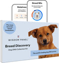 Wisdom Panel Breed Discovery Dog DNA Testing Kit - Most Accurate Dog Breed Identification - Test for 430+ Breeds, MDR1 Health Test, Ancestry, Relatives