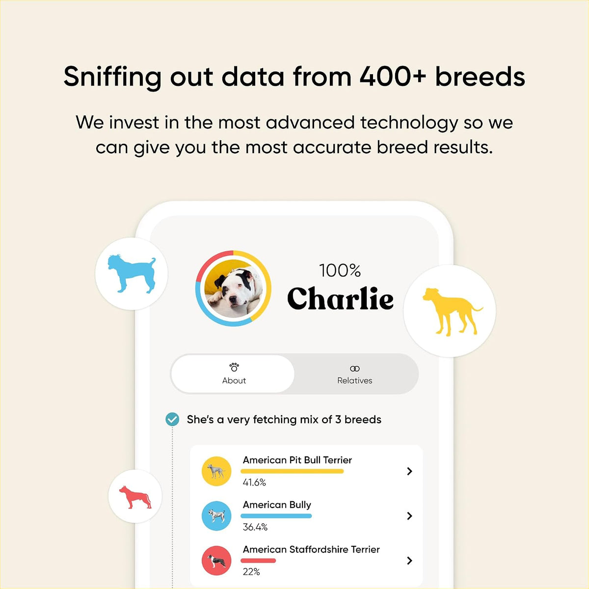 Embark Breed & Health Dog DNA Test – 400+ Breeds, 270+ Health Risks | Only dog DNA test with allergy risk scores. Coat traits, canine relative finder, genetic cancer risk score included.