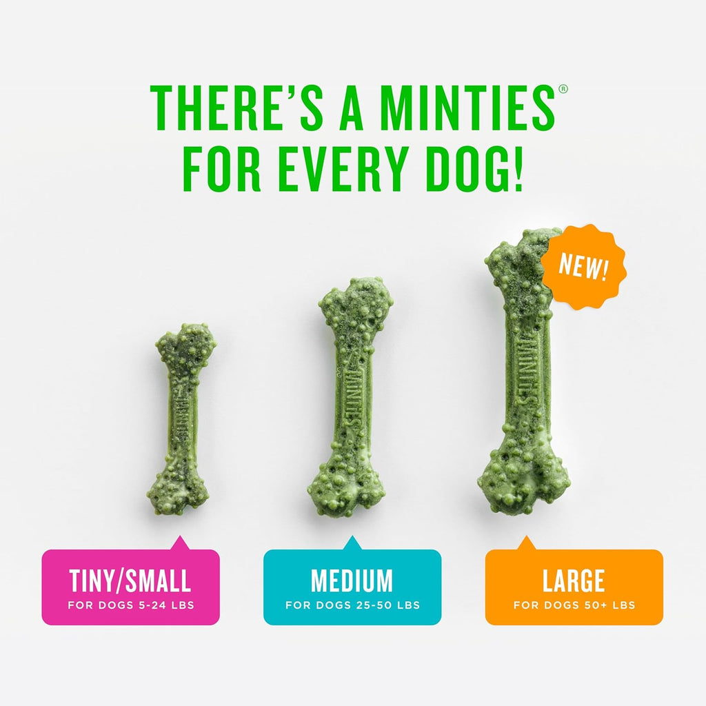 Minties Dental Chews for Dogs, 60 Count, Vet-Recommended Mint-Flavored Dental Dog Treats for Medium Dogs, Bones Clean Teeth, Fight Bad Breath, and Removes Plaque and Tartar | Vet-recommended mint dental bone; scrubs teeth as dogs chew; fights plaque, tart