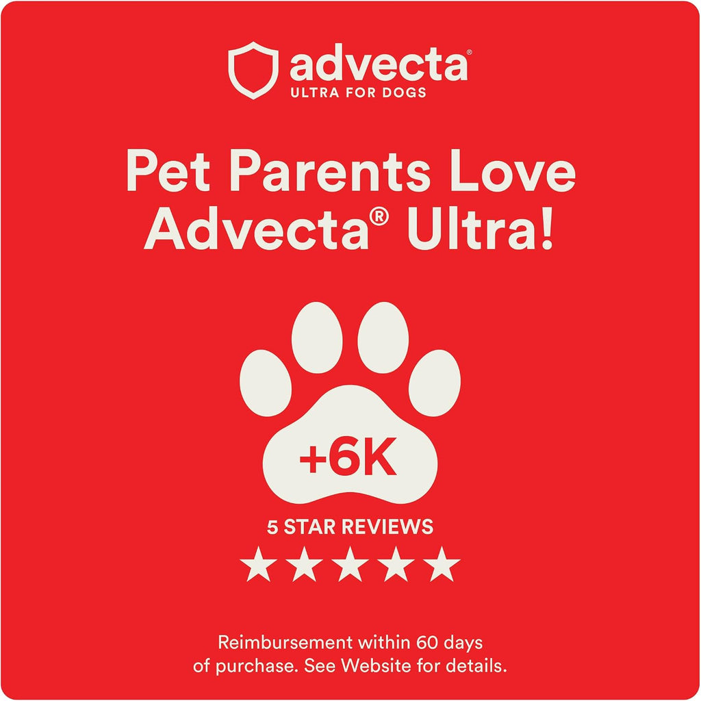 Advecta Ultra Flea and Tick Prevention for Dogs - Large Dog Flea and Tick Treatment & Control - Mosquito Repellent - Fast Acting Waterproof Topical Drops, 4 Month Supply | Imidacloprid, permethrin & pyriproxyfen kill fleas/ticks on contact; 4-dose supply;