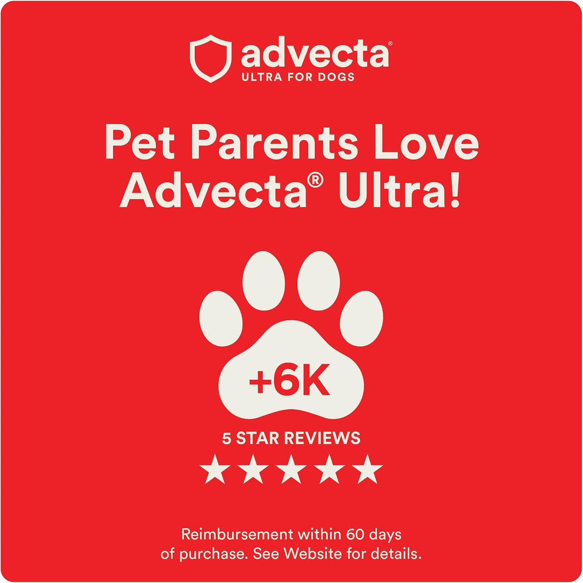 Advecta Ultra Flea and Tick Prevention for Dogs - Large Dog Flea and Tick Treatment & Control - Mosquito Repellent - Fast Acting Waterproof Topical Drops, 4 Month Supply | Imidacloprid, permethrin & pyriproxyfen kill fleas/ticks on contact; 4-dose supply;