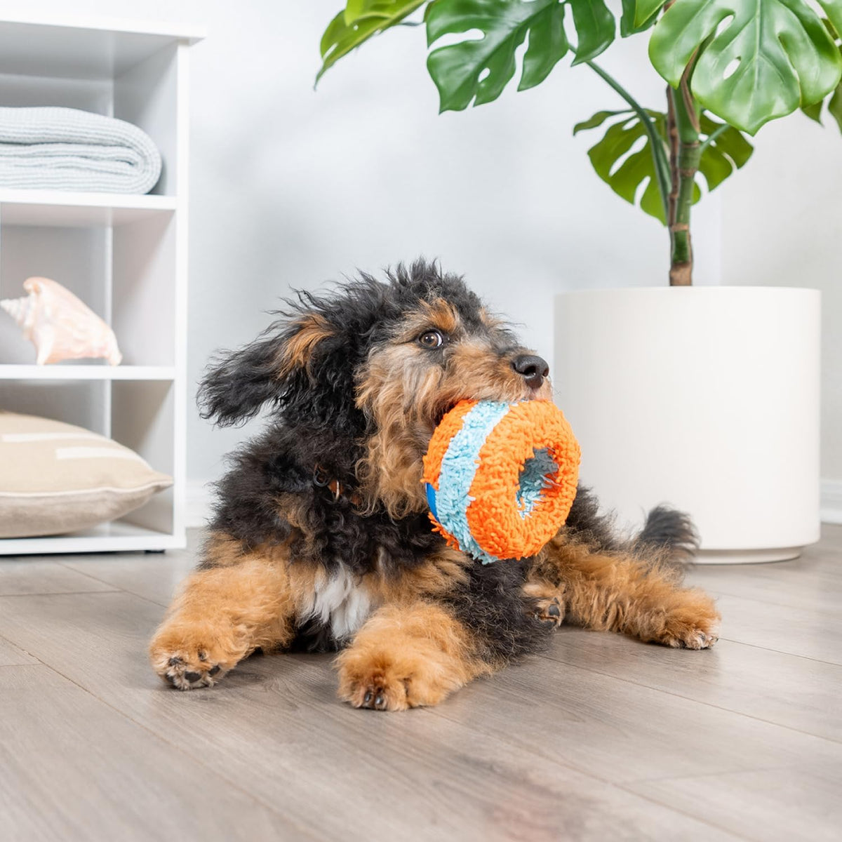 Chuckit! Indoor Fetch Roller Toy for Dogs - Interactive Dog Toys for Boredom, Orange and Blue