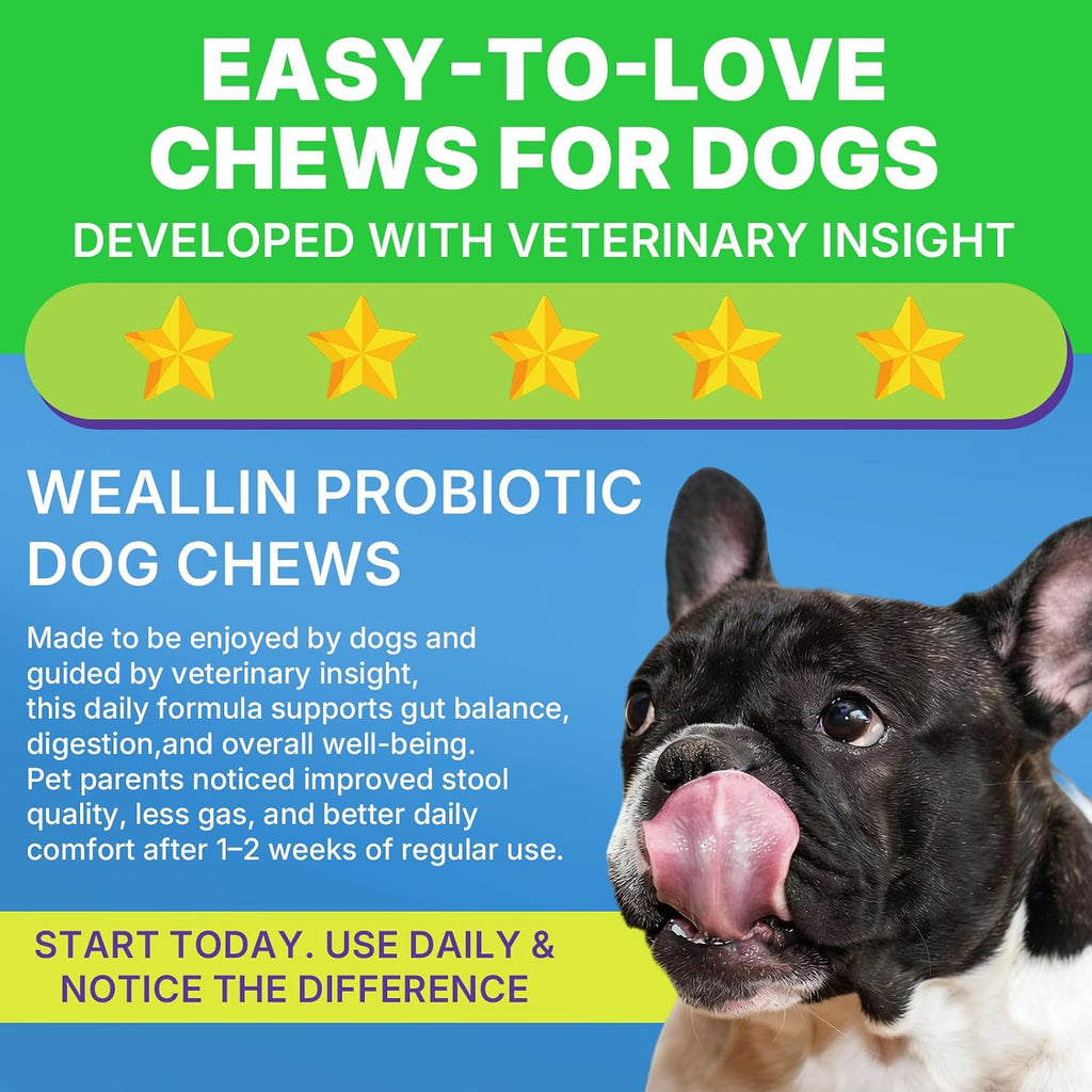 Probiotics for Dogs, Dog Probiotics for Yeast, Itchy Skin and Itchy Ears | WEALLIN Dog Probiotic Chews for Gut & Digestive Support, Diarrhea & Gas Treatment with Digestive Enzyme, Prebiotics & Pumpkin