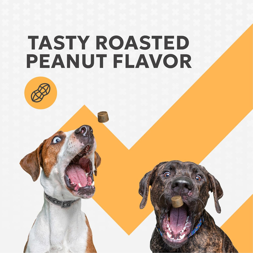 Nutramax Filaquin Anal Gland Supplement for Dogs, Soft Chews, 90ct | Dog Anal Gland Support Chews, Prebiotics & Postbiotics, Psyllium Husk Fiber, From the Same Company as Cosequin and Proviable