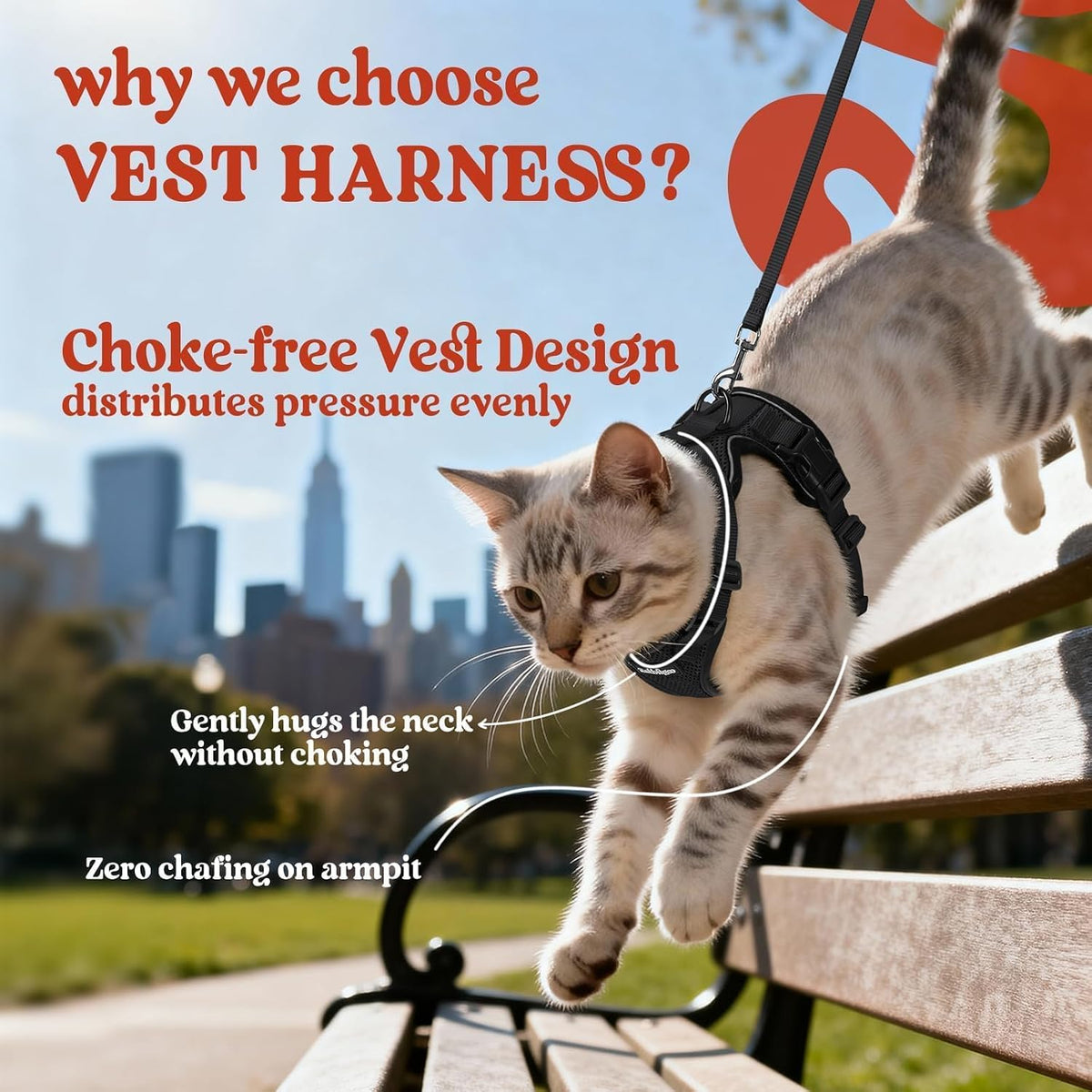 rabbitgoo Cat Harness and Leash Set, Escape Proof Vest, Black