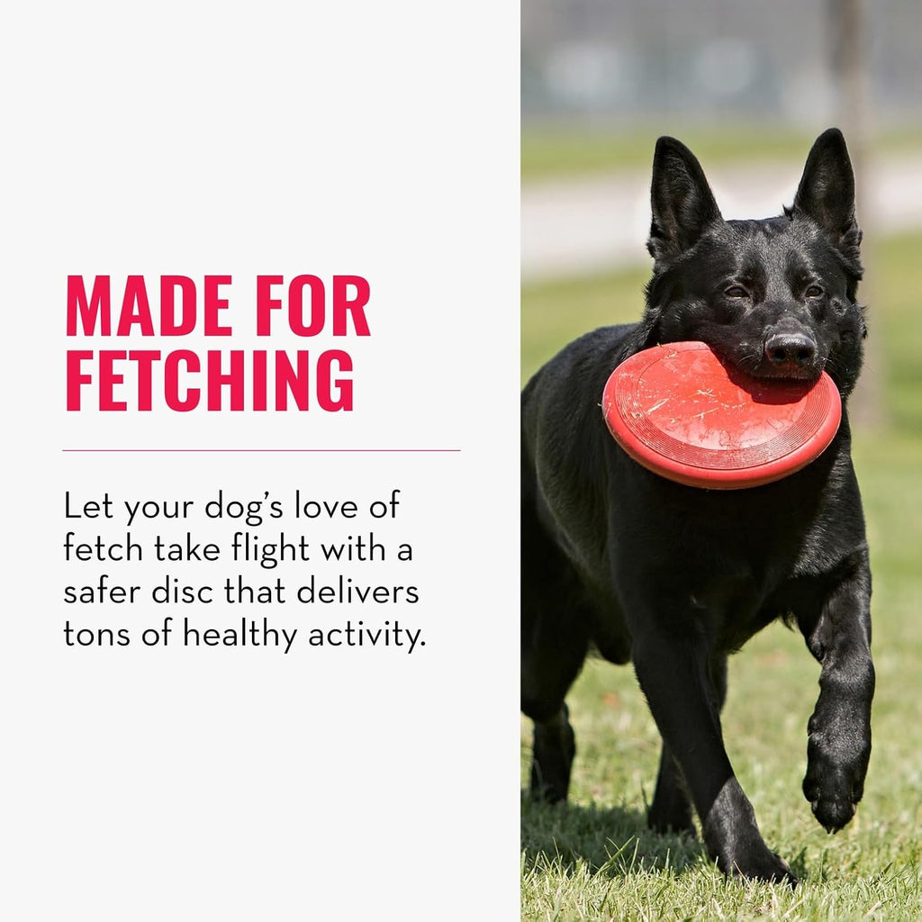 KONG Flyer, Natural Rubber Flying Disc Fetch Toy, for Medium/Large Dogs | Durable KONG Natural Rubber Flying Disc for Fetch, a Safer Disc for Healthy Outdoor Activity & Active Play