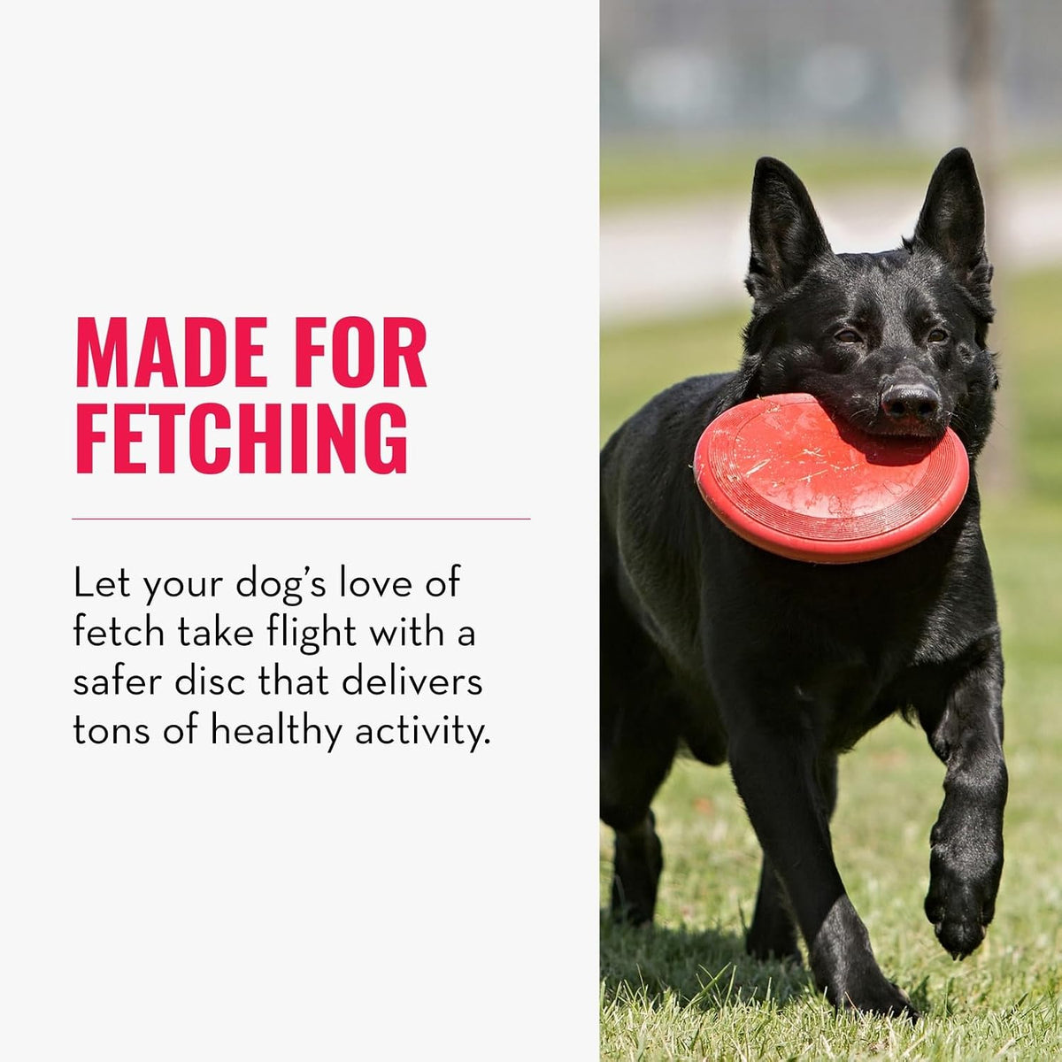 KONG Flyer, Natural Rubber Flying Disc Fetch Toy, for Medium/Large Dogs | Durable KONG Natural Rubber Flying Disc for Fetch, a Safer Disc for Healthy Outdoor Activity & Active Play