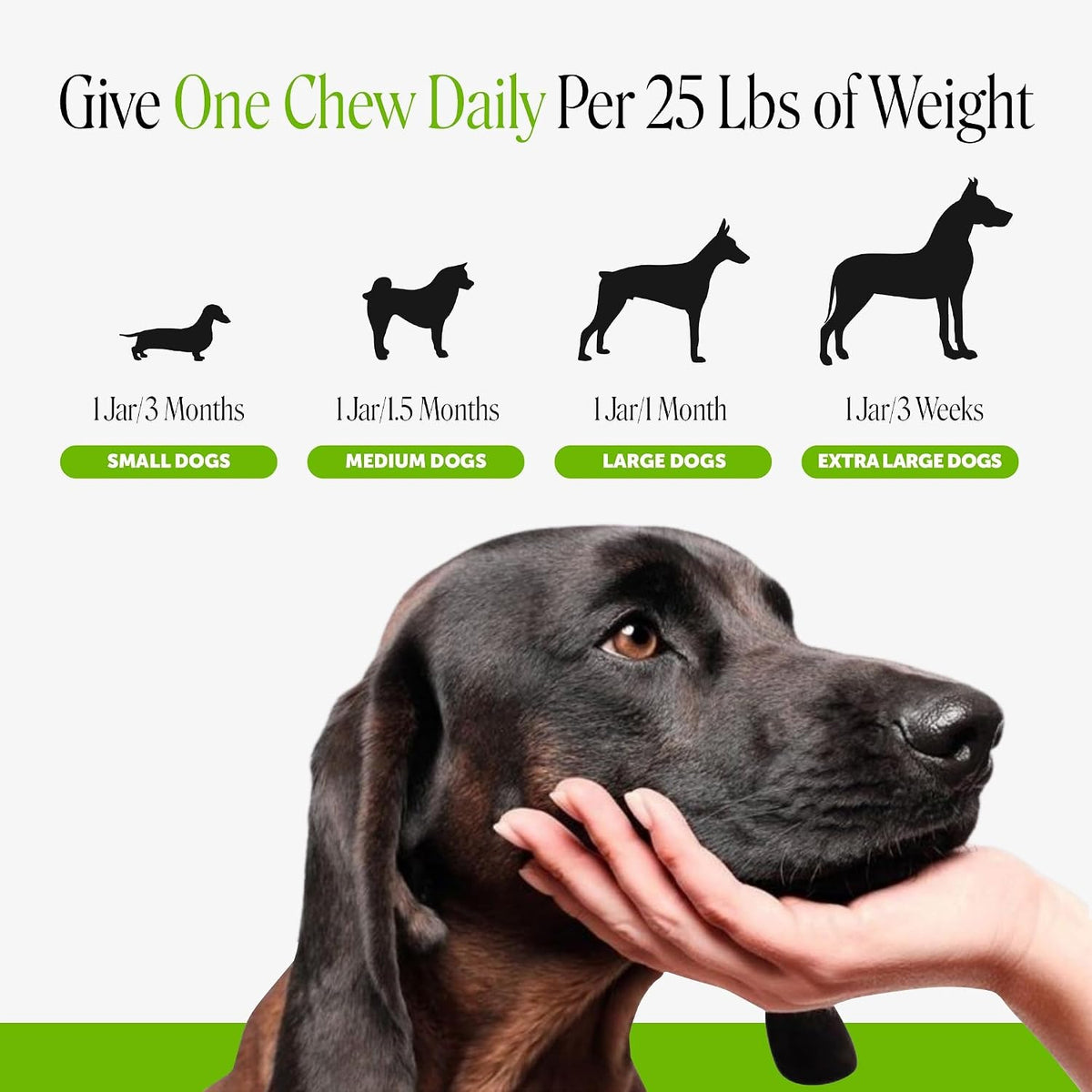 Pet Honesty Dog Probiotics Chews for Gut & Digestive Health, 90ct, Pumpkin | Vet recommended probiotics for dogs with digestive enzymes, prebiotics and fiber for regularity, gentle on sensitive stomachs