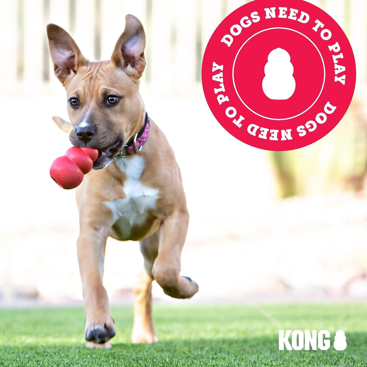 Kong Wild Knots Bear, Knotted Rope Plush Toy, for Medium/Large Dogs | Soft Plush Bear with Internal Knotted Ropes & Minimal Stuffing for Less Mess During Play, Color May Vary