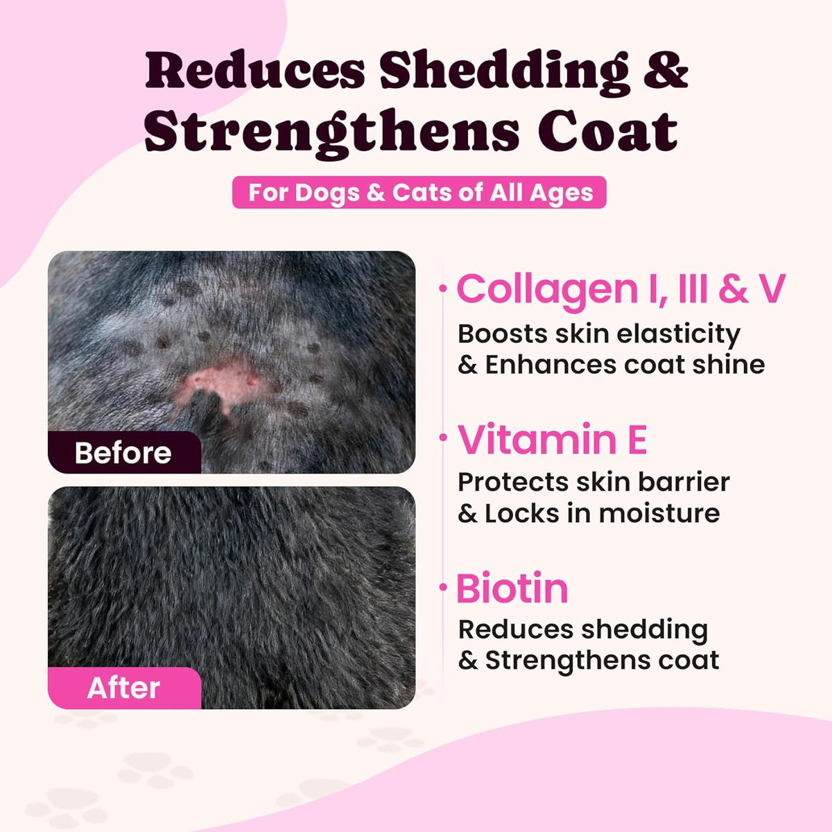 Premium Collagen for Dogs & Cats – 5 Types of Grass-Fed Collagen (I, II, III, V & X), Fast Allergy & Itch Relief Dog Colágeno with MSM, Biotin & Hyaluronic Acid – Supports Healthy Skin & Joints –120ml