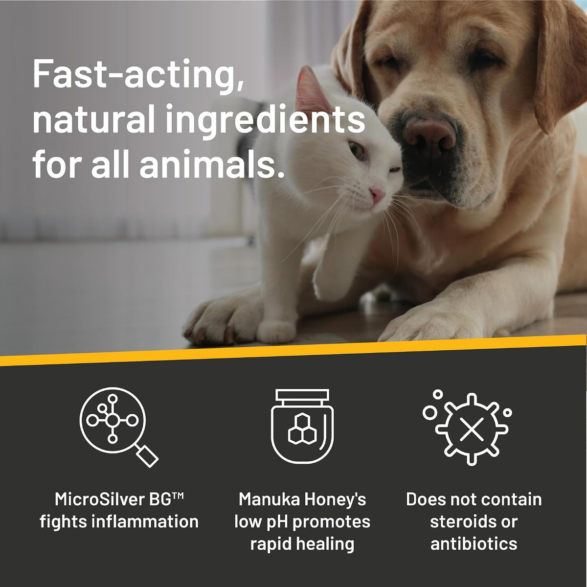 Silver Honey Hot Spot & Wound Care Pet First Aid Ointment, 2 oz Tube | Manuka Honey, MicroSilver BG, Dog, Cat, Small Animal, Fast-Acting Results, At Home Treatment, Thick, Creamy, Antibiotic-Free