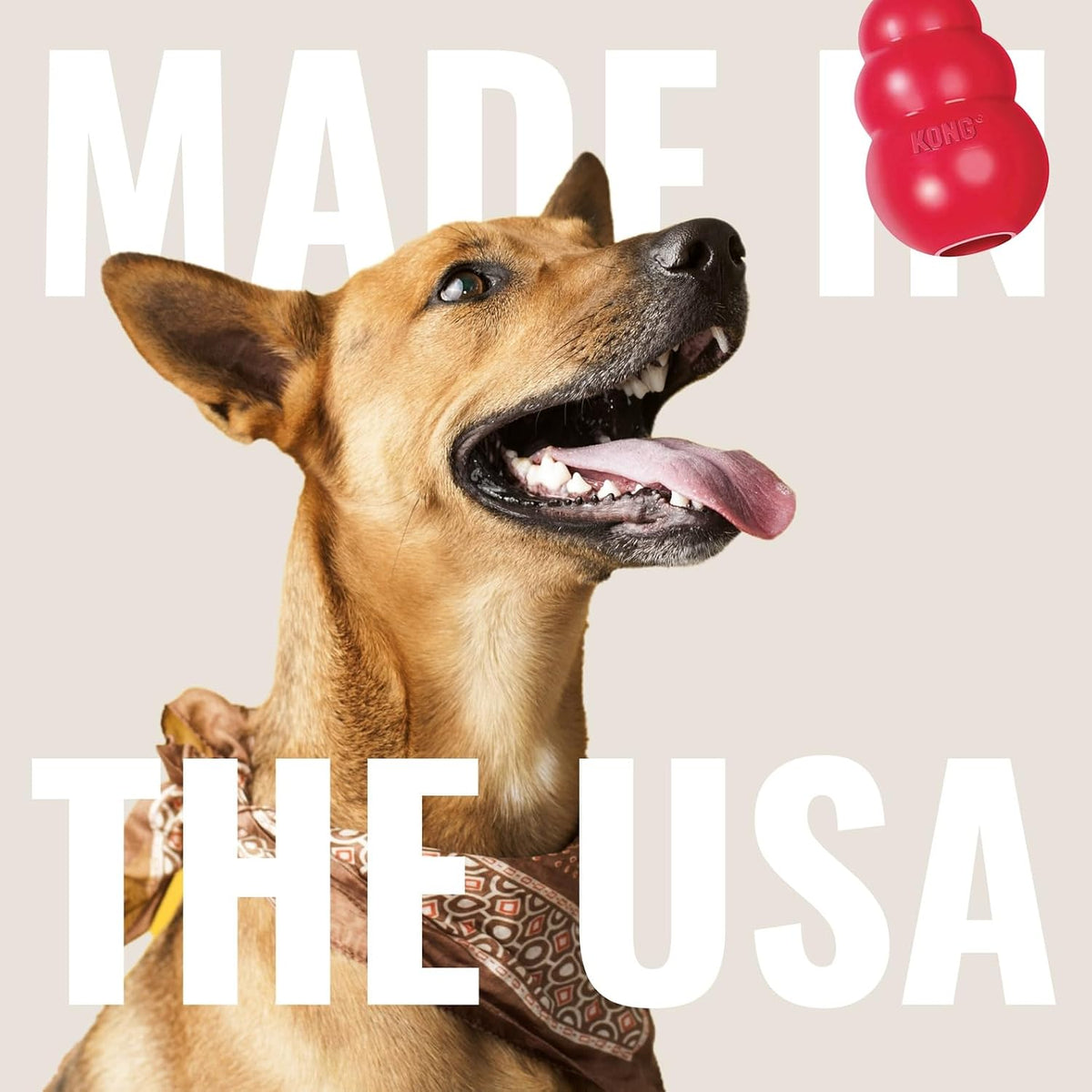 KONG Flyer, Natural Rubber Flying Disc Fetch Toy, for Medium/Large Dogs | Durable KONG Natural Rubber Flying Disc for Fetch, a Safer Disc for Healthy Outdoor Activity & Active Play