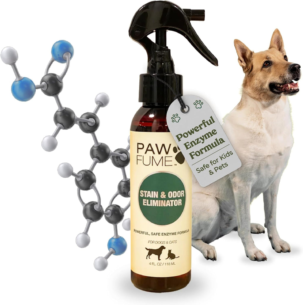 Paw Fume Dog Perfume Spray Long Lasting, Show Dog, 1-Pack | Hypoallergenic, alcohol-free detangling formula keeps pups fresh all day, moisturizing Pet Cologne Spray for Dogs