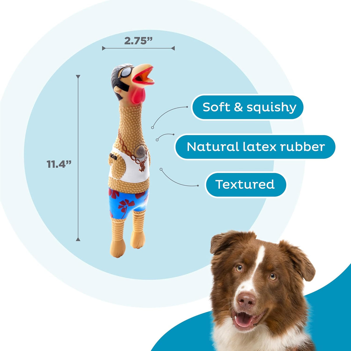 Outward Hound Squawkers Squeaky Latex Dog Toy, Earl, 11.4" | Classic Rubber Chicken in a Swimsuit, Silly Squawking Sound, Interactive Fetch, Indoor Outdoor, Light Chewers, Dogs & Puppies