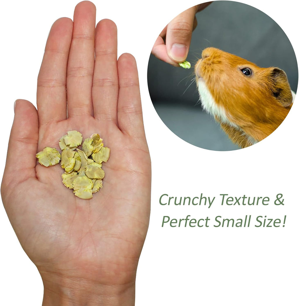Exotic Nutrition Green Pea Flakes 3oz. - Healthy & Unique Treat - Rat, Degu, Prairie Dog, Chinchilla, Hedgehog, Parrot, Guinea Pig, Rabbit, Hamster