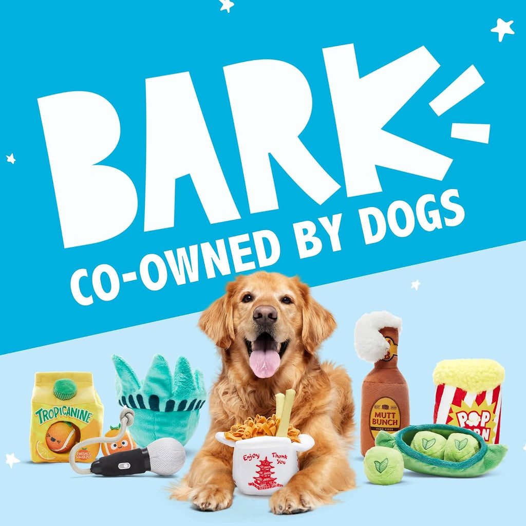 BarkBox Consuela the Cactus 2-in-1 Interactive Plush Dog Toy | Squeaky Dog Chew Toy with Crinkle Layers - For Large Dogs and Puppies