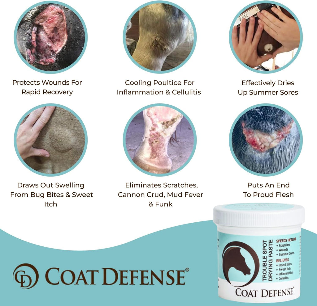 COAT DEFENSE Trouble Spot Drying Paste for Horses - Natural Equine Wound Care That Provides Safe & Effective Relief from Scratches, Sweet Itch, Summer Sores, Proud Flesh, Mud Fever, Girth Rot (10 Oz)
