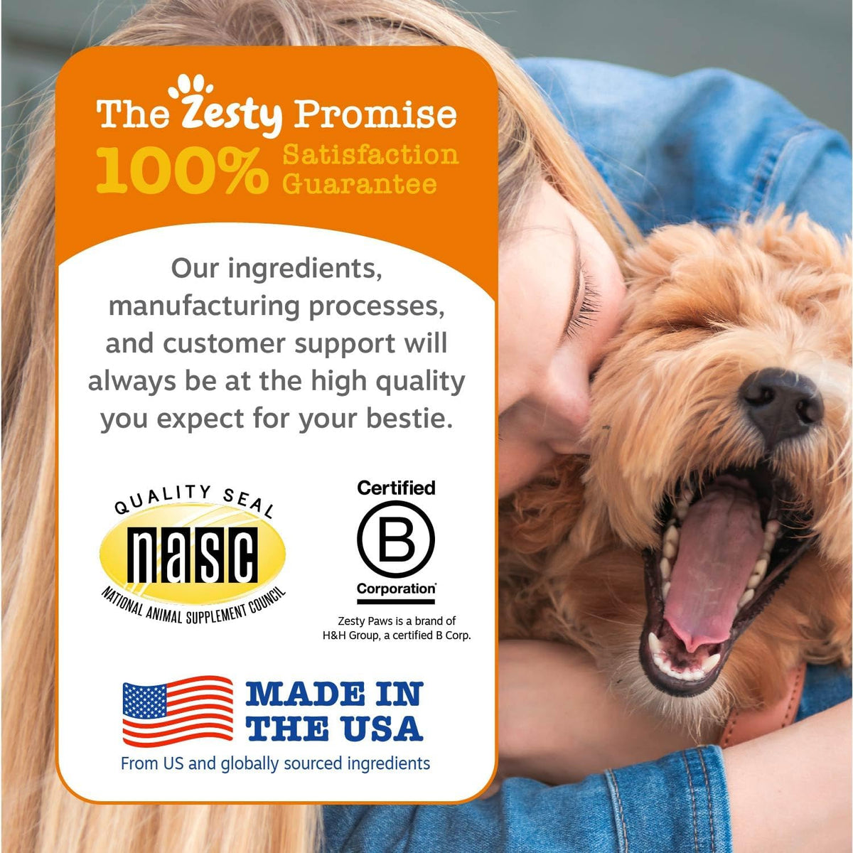 Zesty Paws Salmon Oil for Dogs - Skin & Coat Chews, Salmon, 90 Ct