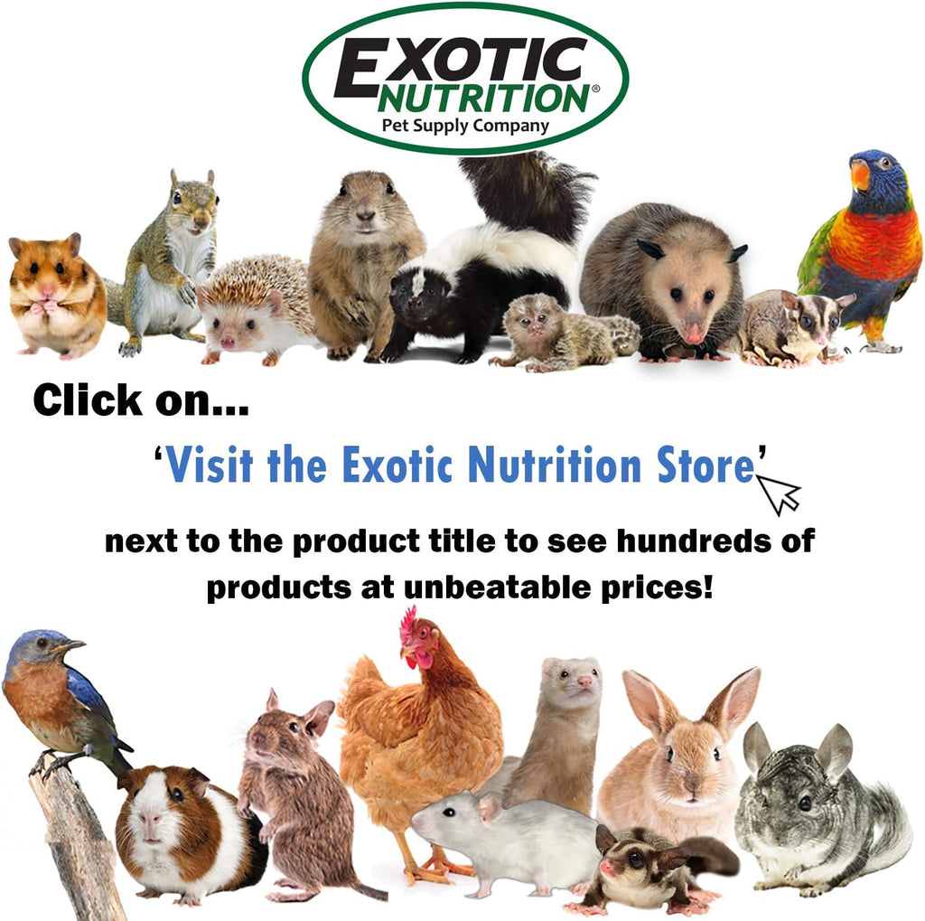 Exotic Nutrition Pasture Plus+ Dandelion Delicacy - Healthy Natural High-Fiber Dried Flower Treat - Guinea Pigs, Rabbits, Chinchillas, Prairie Dogs, Degus, Hamsters, Gerbils & Other Small Pets