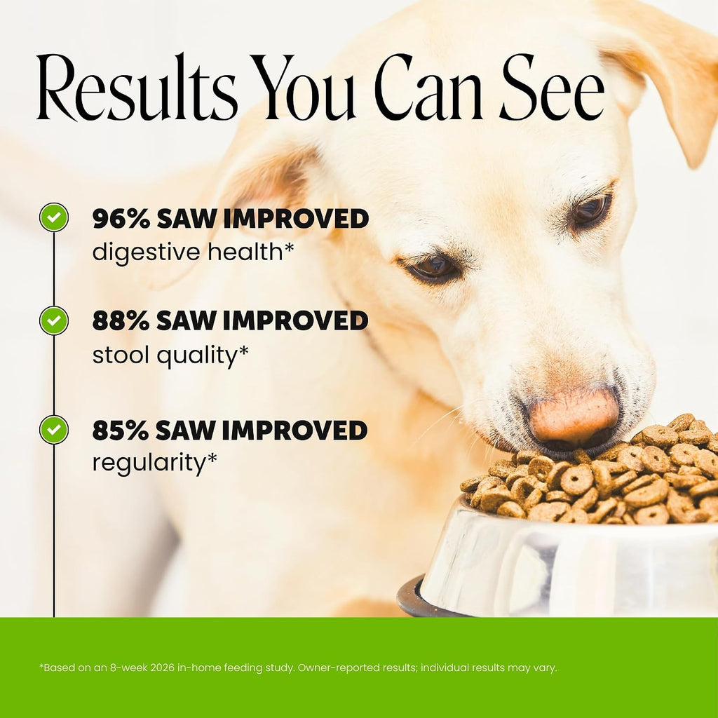 Pet Honesty Dog Probiotics Chews for Gut & Digestive Health, 90ct, Pumpkin | Vet recommended probiotics for dogs with digestive enzymes, prebiotics and fiber for regularity, gentle on sensitive stomachs