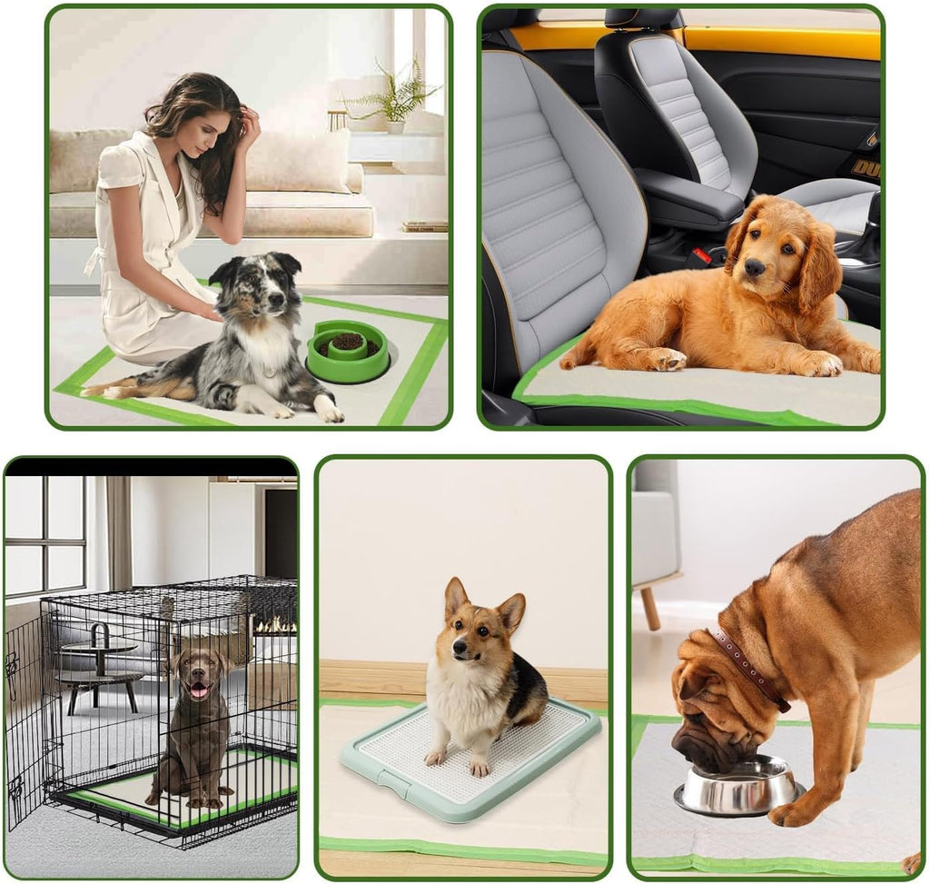 Gardner Pet Dog Pee Pads Extra Large 28"x34", XL Thicker ECO Green Disposable XLarge Puppy Training Pads Super Absorbent Full Edge-Wrapping Pad for Dogs, Puppies, Doggie, Cats, Rabbits-(30 Count) | Extra Large(XL) 28"x34", Max Absorbency Disposable Puppy 