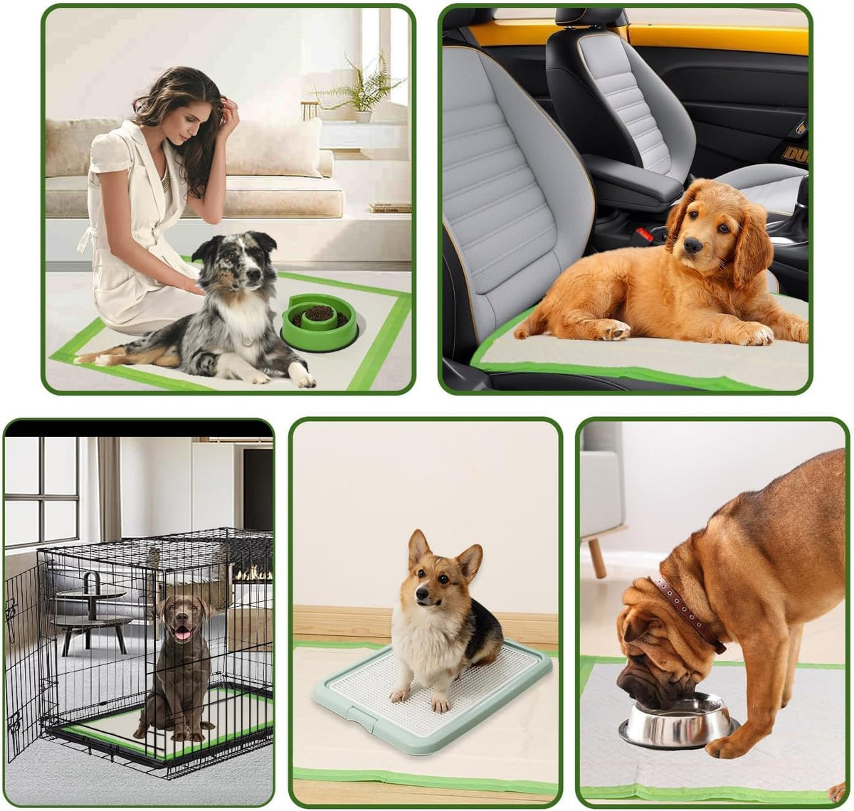 Gardner Pet Dog Pee Pads Extra Large 28"x34", XL Thicker ECO Green Disposable XLarge Puppy Training Pads Super Absorbent Full Edge-Wrapping Pad for Dogs, Puppies, Doggie, Cats, Rabbits-(30 Count) | Extra Large(XL) 28"x34", Max Absorbency Disposable Puppy 