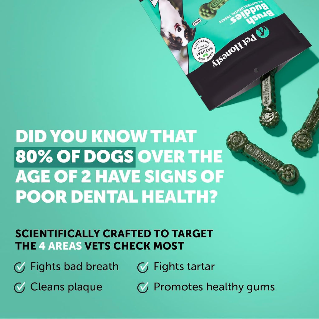 Pet Honesty Brush Buddies Vet Backed Dog Dental Chews, 15 Count | Award winning dog teeth cleaning chews for dogs 25-50 lbs, last 2x longer, no cellulose fillers, reduce plaque & tartar