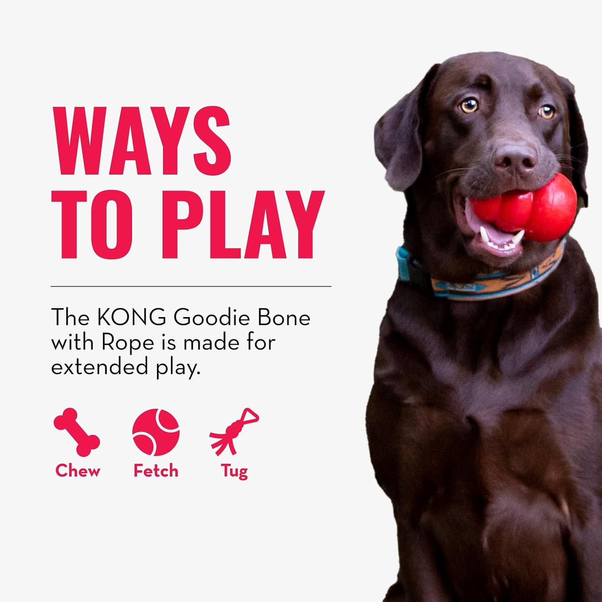 KONG Puppy Goodie Bone with Rope, Natural Rubber, for XS Puppies, Blue | KONG Natural Rubber Bone with a Cotton Rope for Teeth Cleaning & Engaging Chew Play for Growing, Teething Puppies