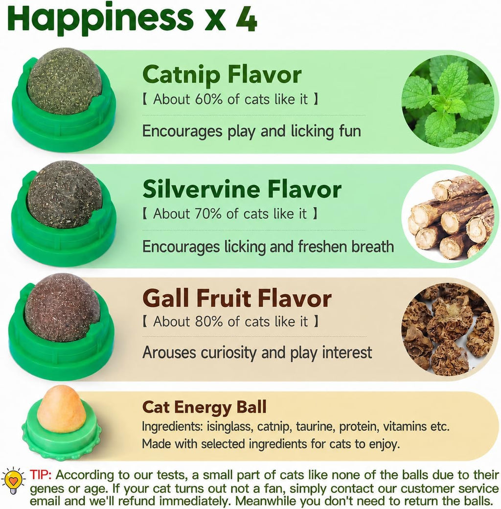 Potaroma Catnip Toys Balls 4 Pcs with Extra Cat Energy Ball