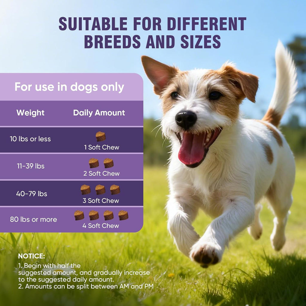 Dog Allergy Chews 200ct - Aller Immune Relief for Itchy Skin,Chicken Flavor