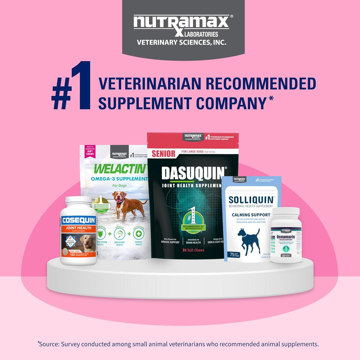 Nutramax Proviable Probiotics + Prebiotics, for Dogs & Cats, Capsules, 80ct | Probiotics and Prebiotics for Cats and Dogs, Daily Gut Health Support Supplement, Multiple Strains, Sprinkle on Food
